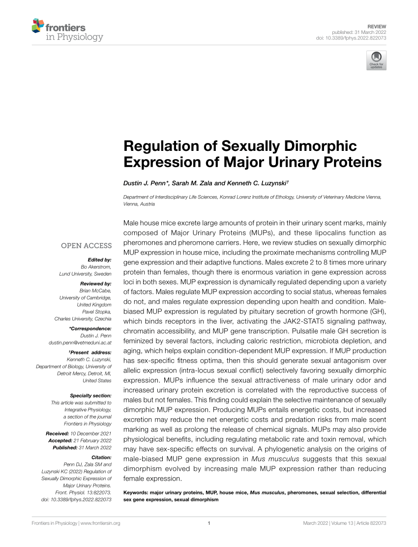 Pdf Regulation Of Sexually Dimorphic Expression Of Major Urinary Proteins 9391