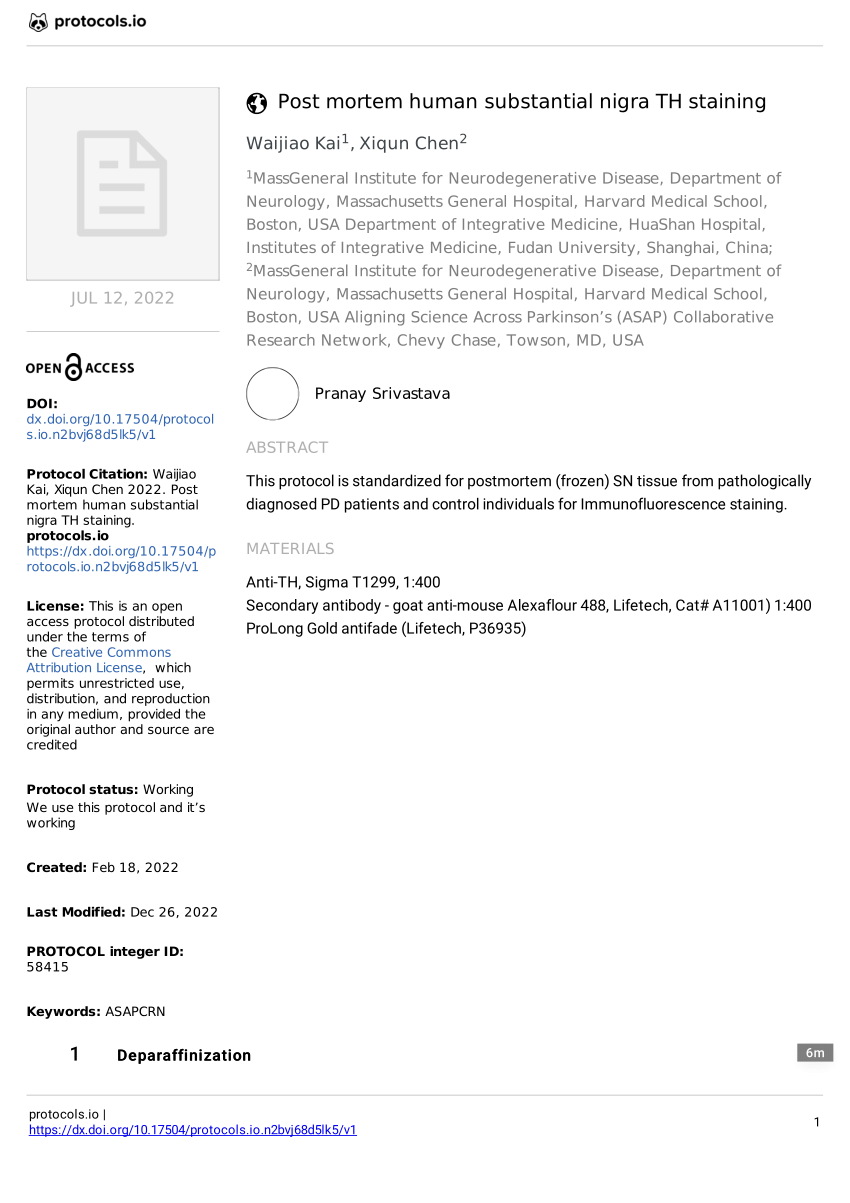 (PDF) Post mortem human substantial nigra TH staining v1