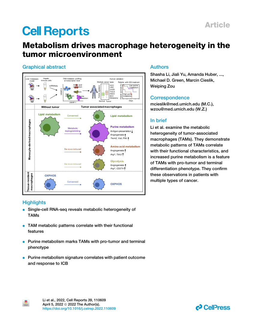 PDF) Metabolism drives macrophage heterogeneity in the tumor