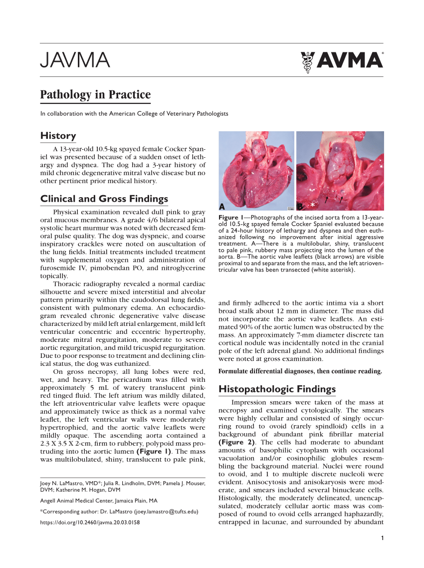 research paper topics pathology