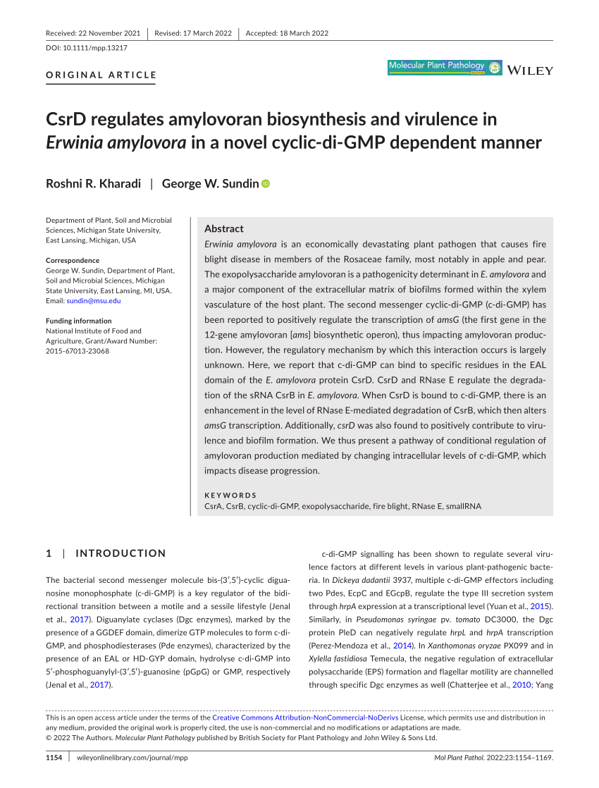 (PDF) CsrD regulates amylovoran biosynthesis and virulence in Erwinia ...