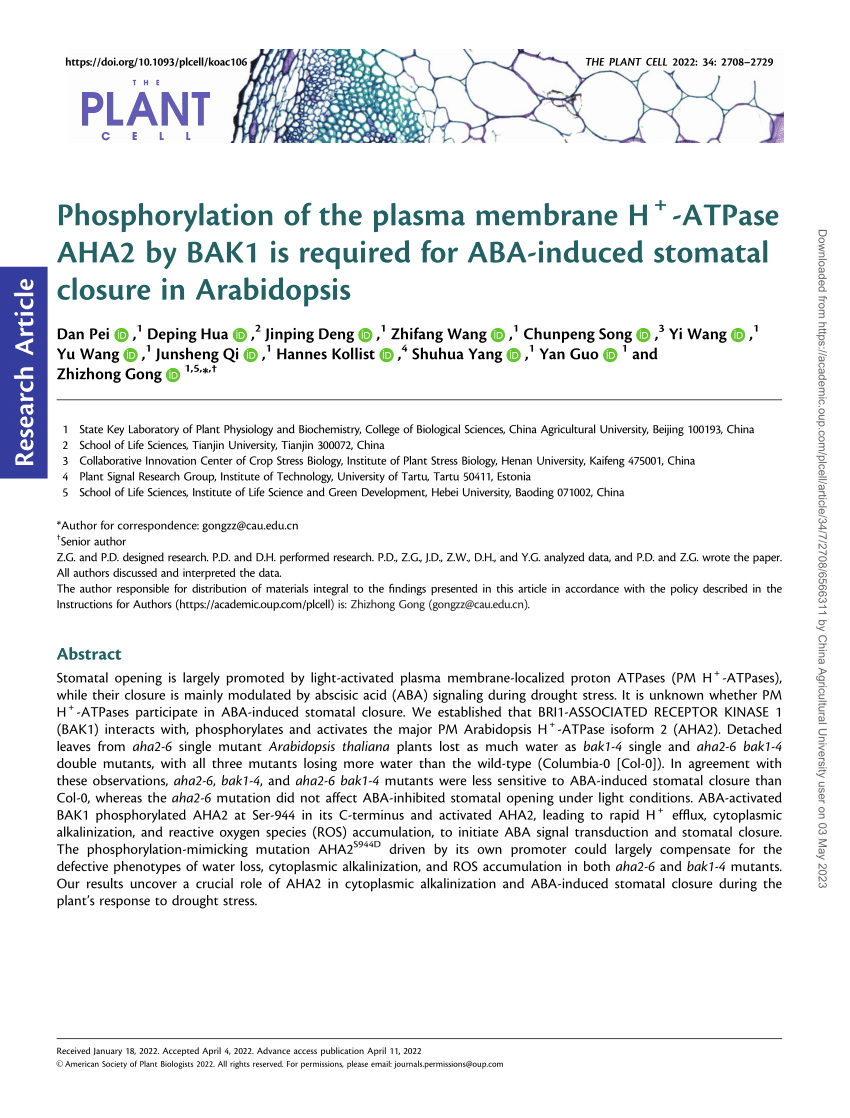 PDF) Phosphorylation of the plasma membrane H+-ATPase AHA2 by BAK1 