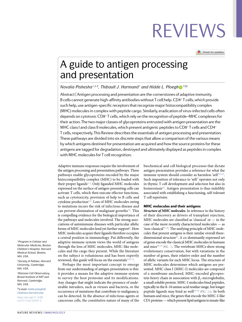 review article on antigen presentation