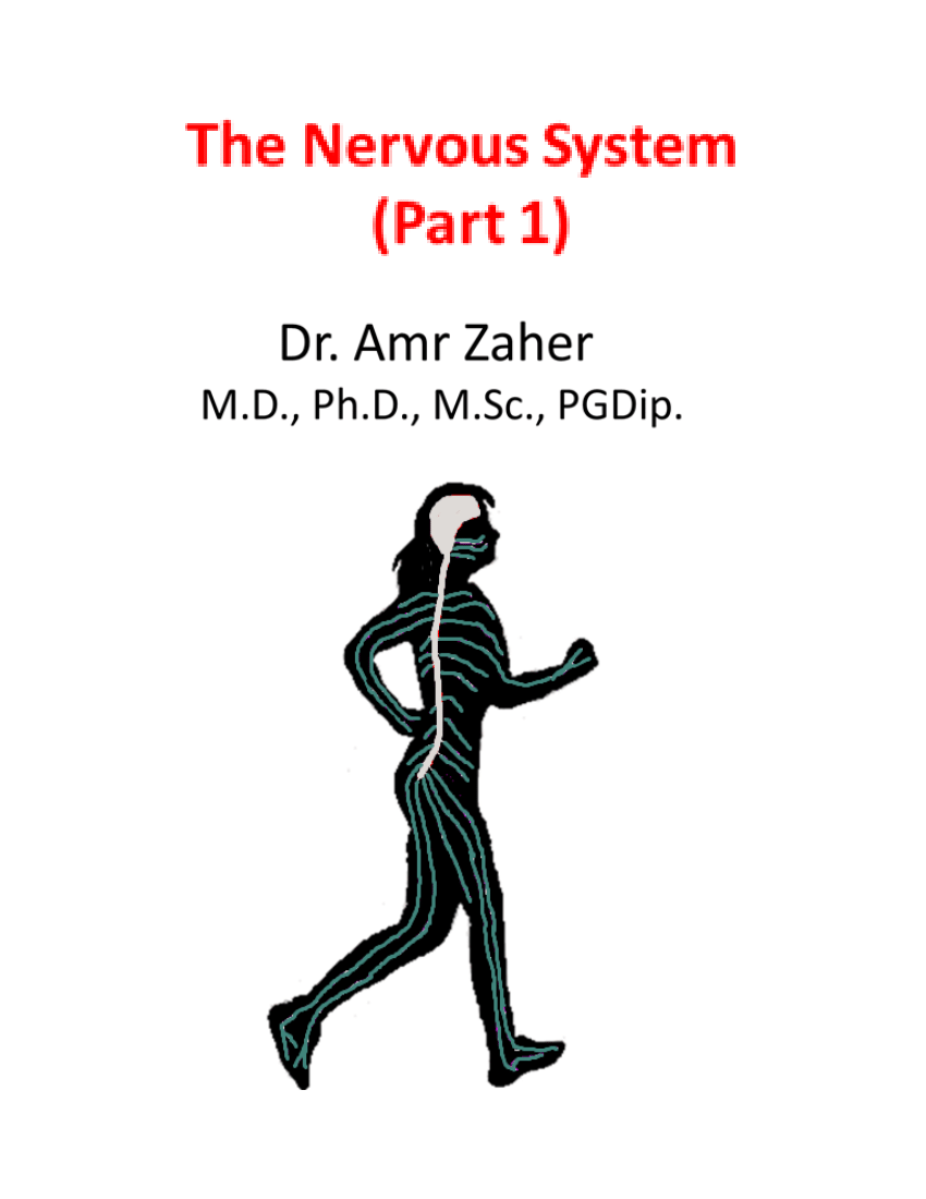 (PDF) The nervous system part 1