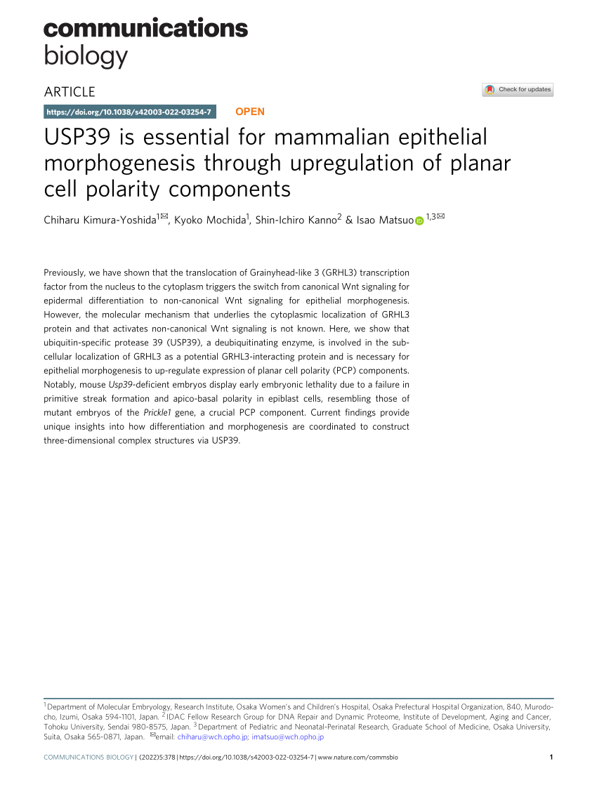 PDF) USP39 is essential for mammalian epithelial morphogenesis