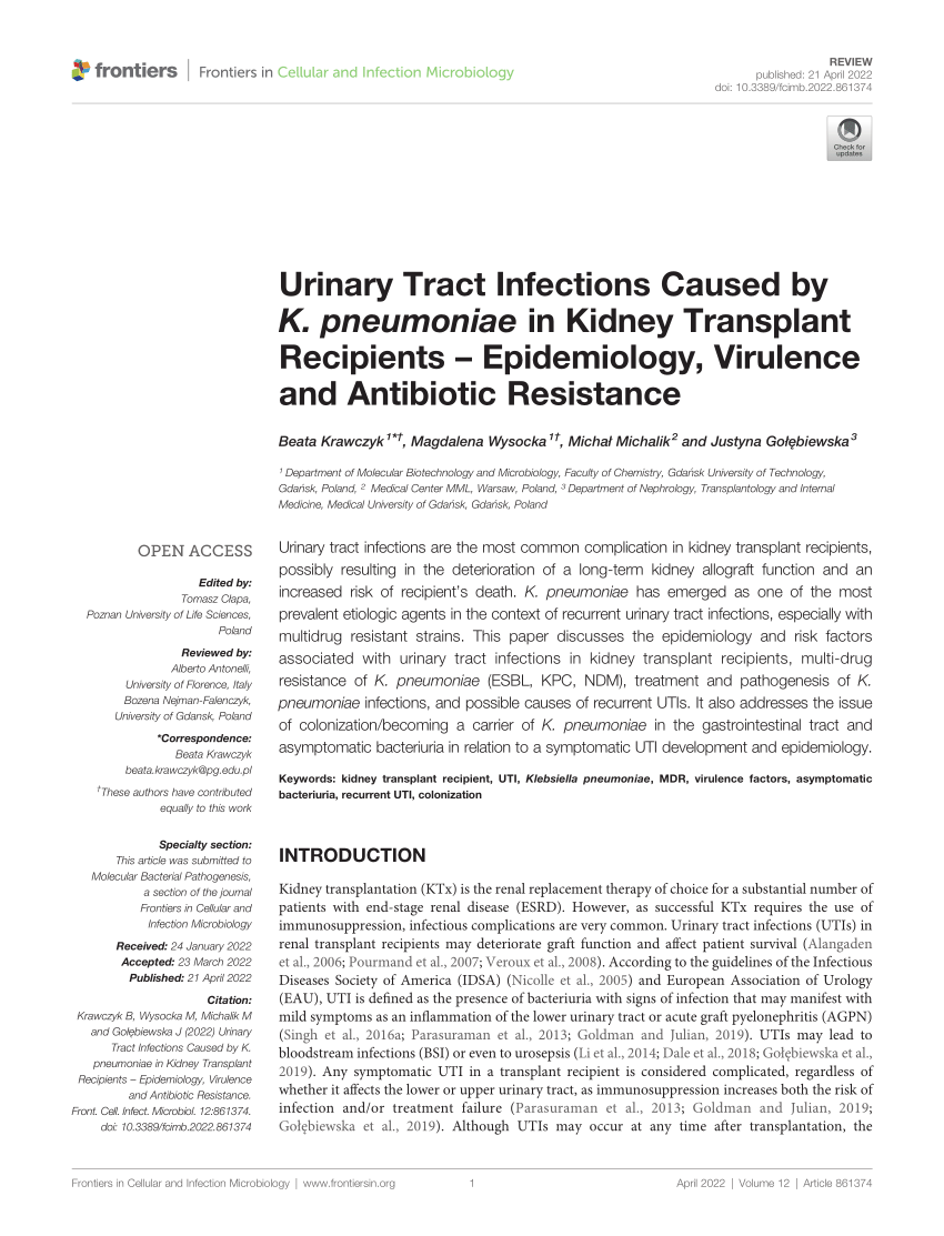 literature review urinary tract infection