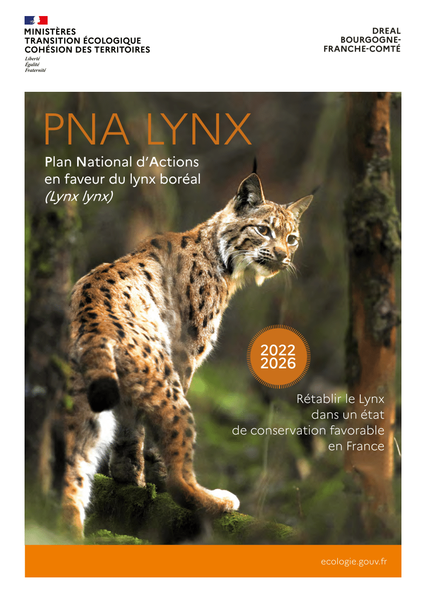 Le lynx au bord de l'extinction en France