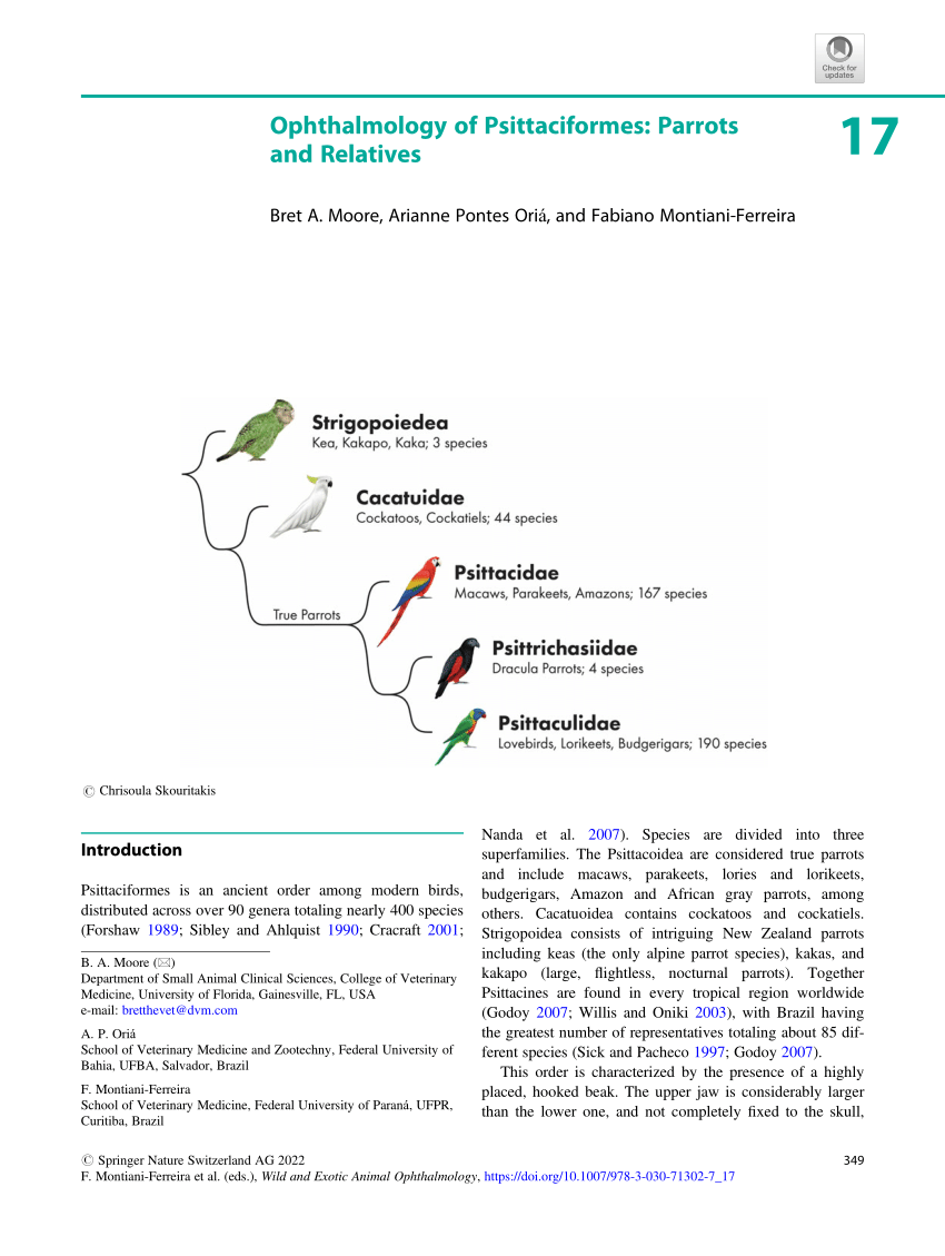 PDF) Ophthalmology of Psittaciformes Parrots and Relatives image