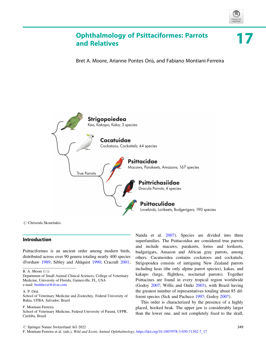 PDF) Ophthalmology of Psittaciformes Parrots and Relatives