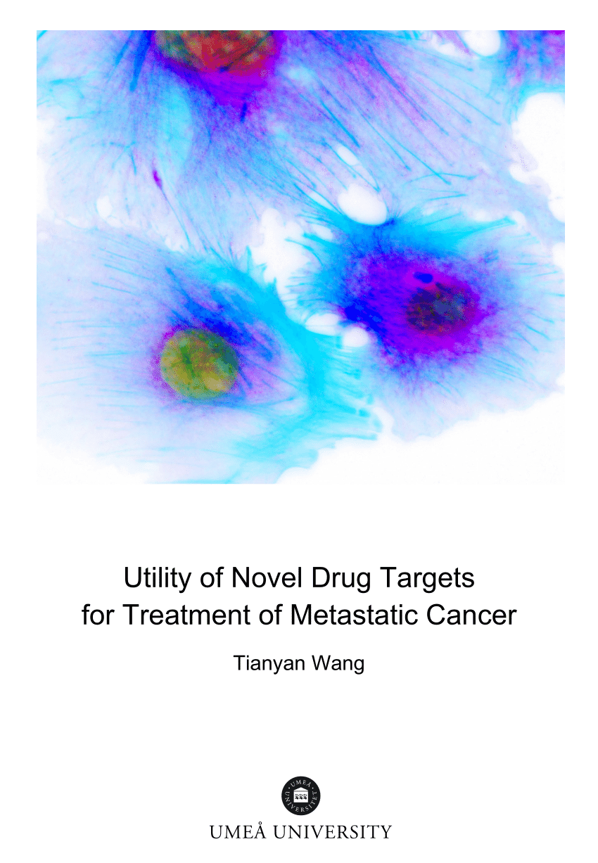 PDF) PhD Thesis Tianyan Wang Final