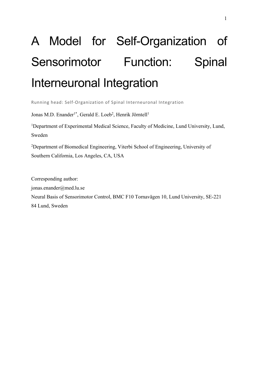 Pdf A Model For Self Organization Of Sensorimotor Function Spinal