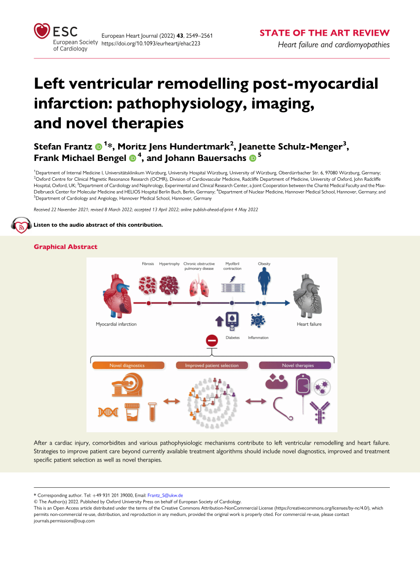 Acute regional changes in myocardial strain may predict ventricular  remodelling after myocardial infarction in a large animal model