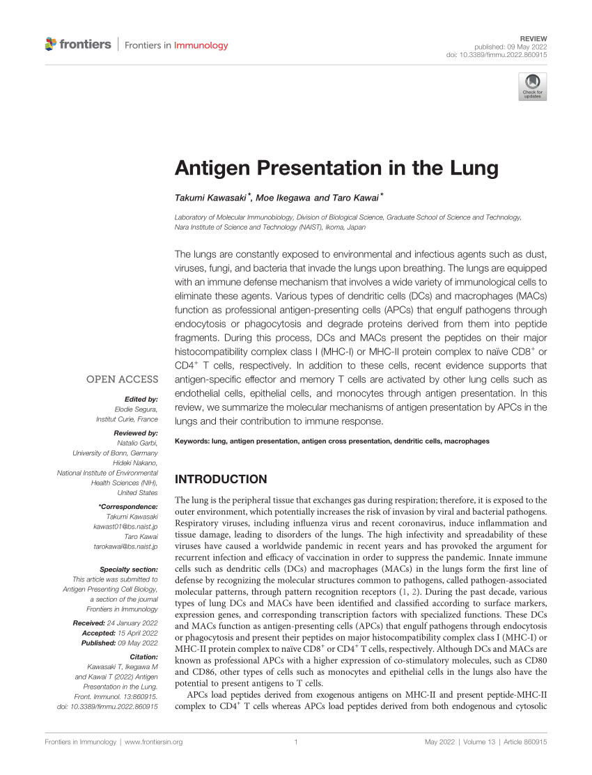 review article on antigen presentation