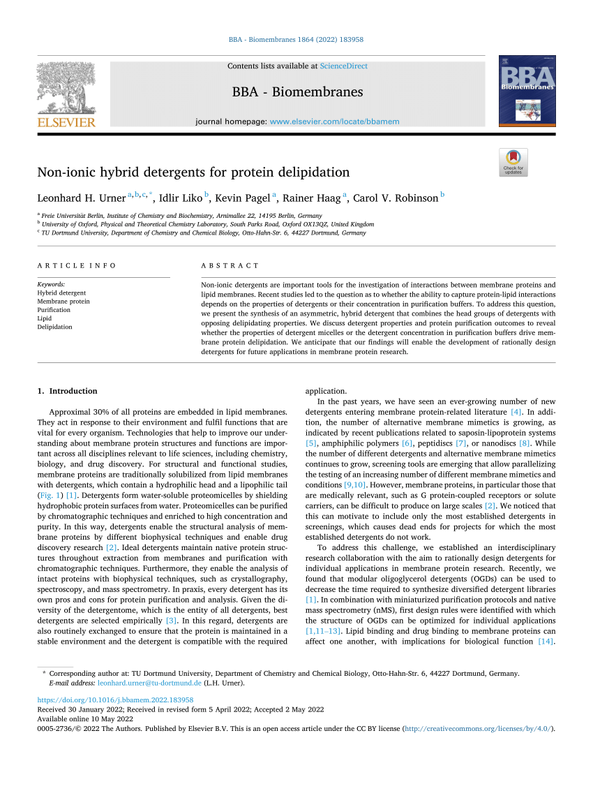 pdf-non-ionic-hybrid-detergents-for-protein-delipidation