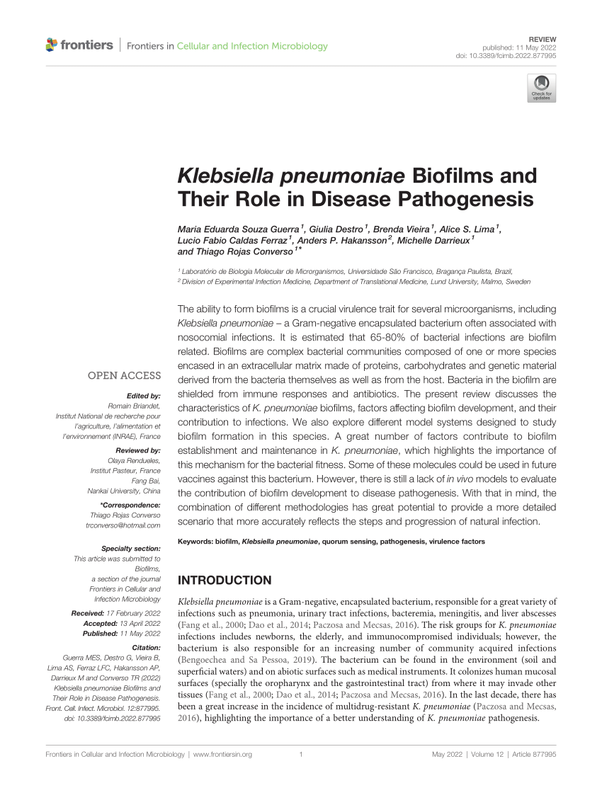 thesis of klebsiella pneumoniae