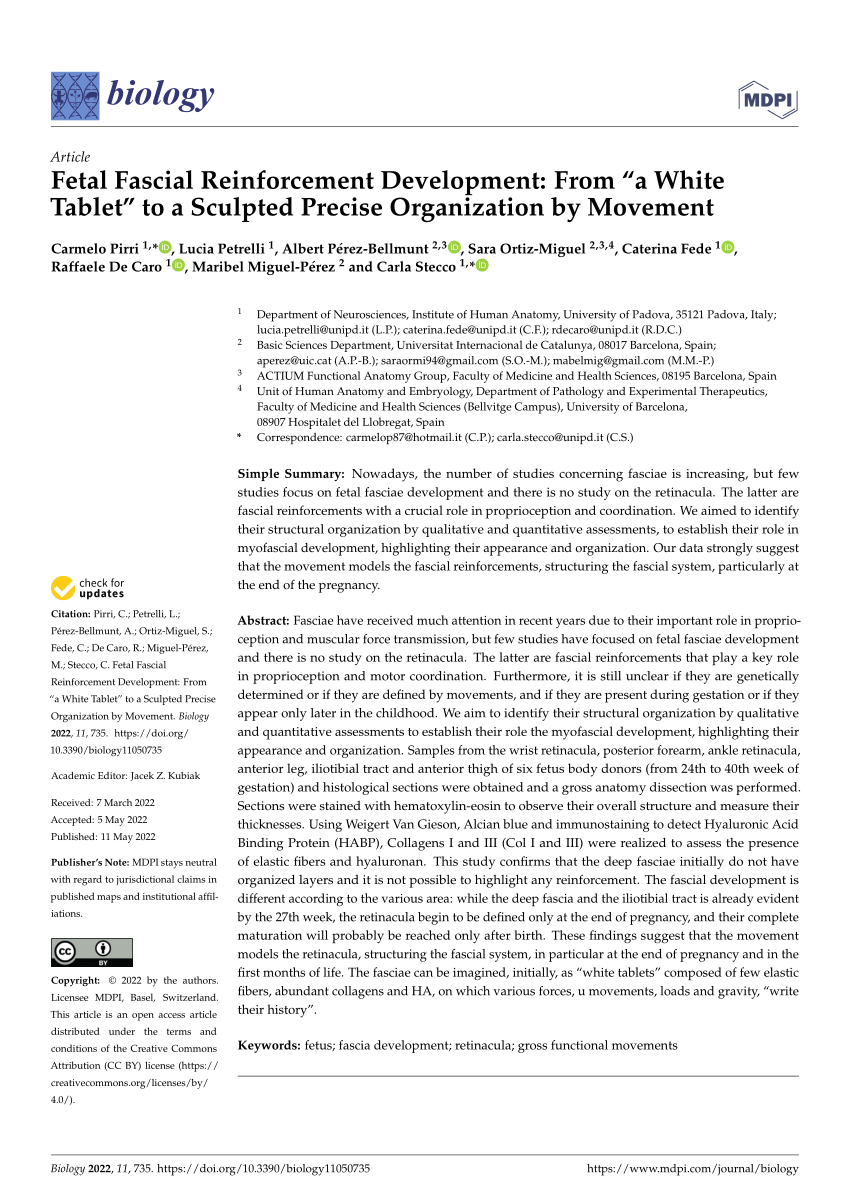 PDF) Fetal Fascial Reinforcement Development: From “a White Tablet” to a  Sculpted Precise Organization by Movement