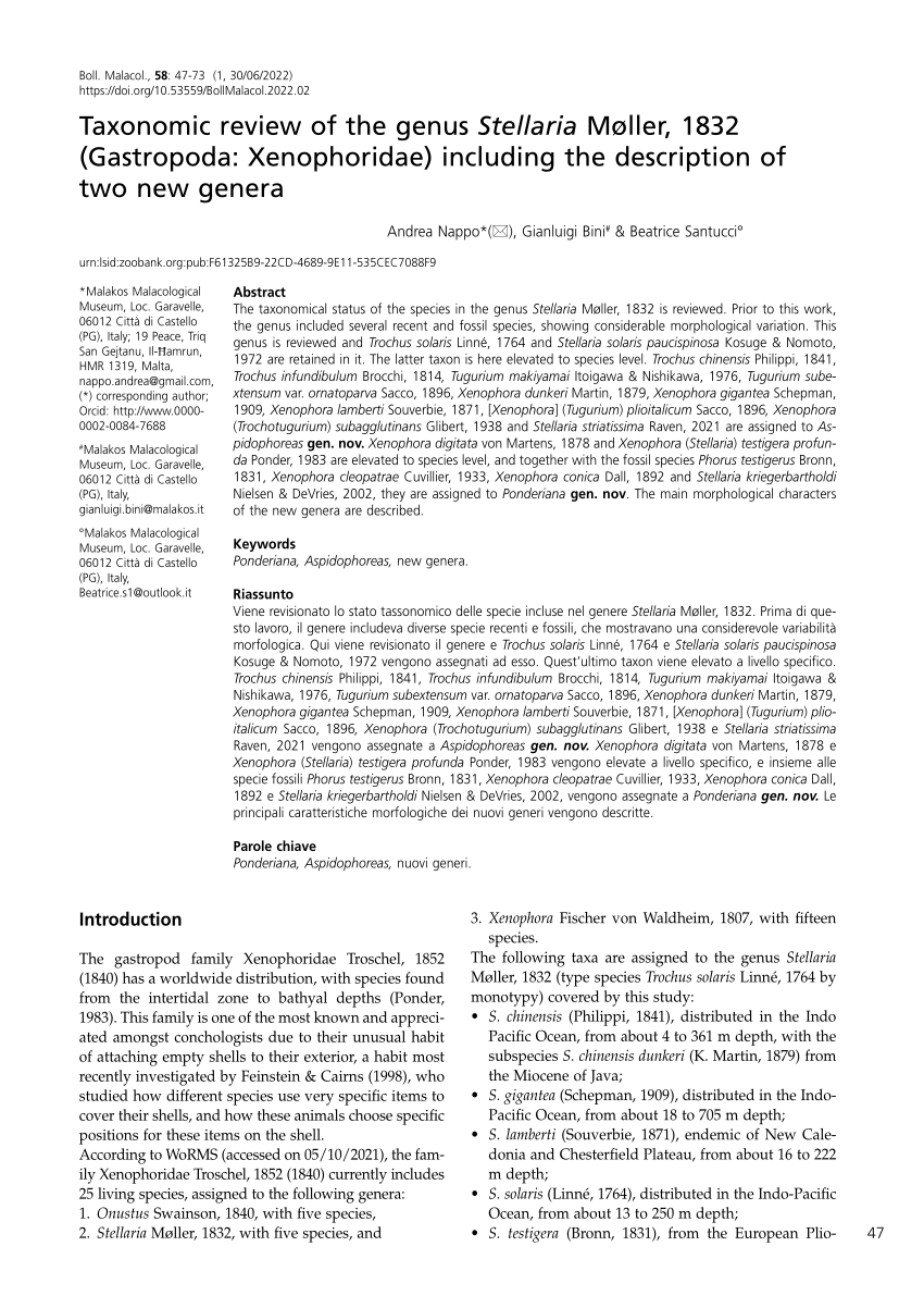 PDF Taxonomic review of the genus Stellaria M ller 1832