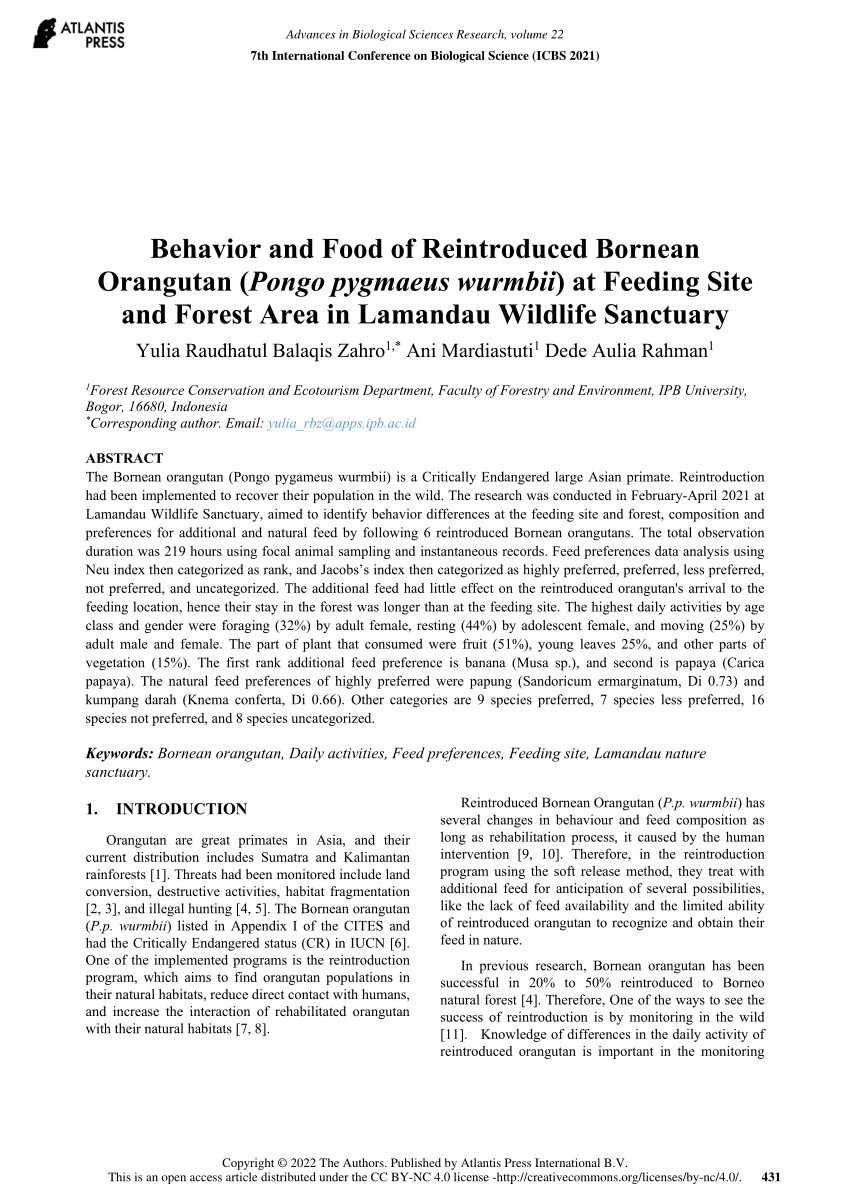 (PDF) Behavior and Food of Reintroduced Bornean Orangutan ( Pongo