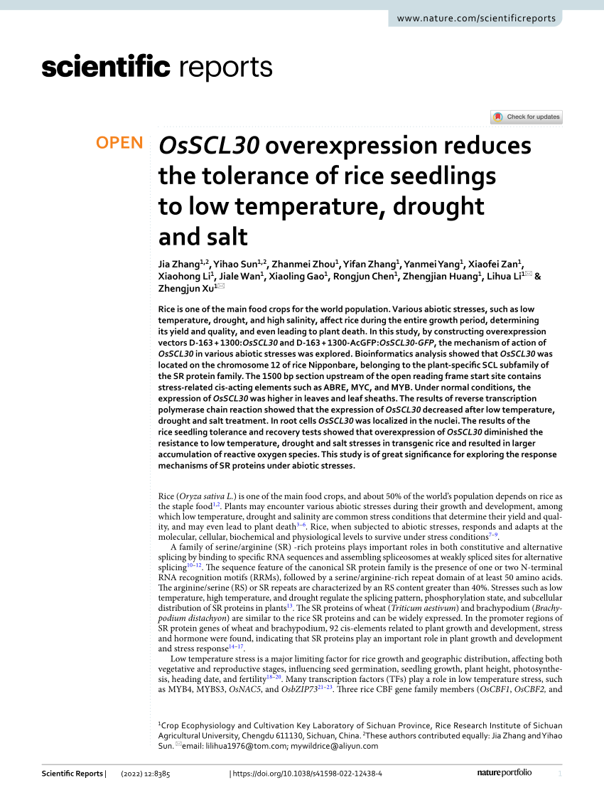 PDF) OsSCL30 overexpression reduces the tolerance of rice 