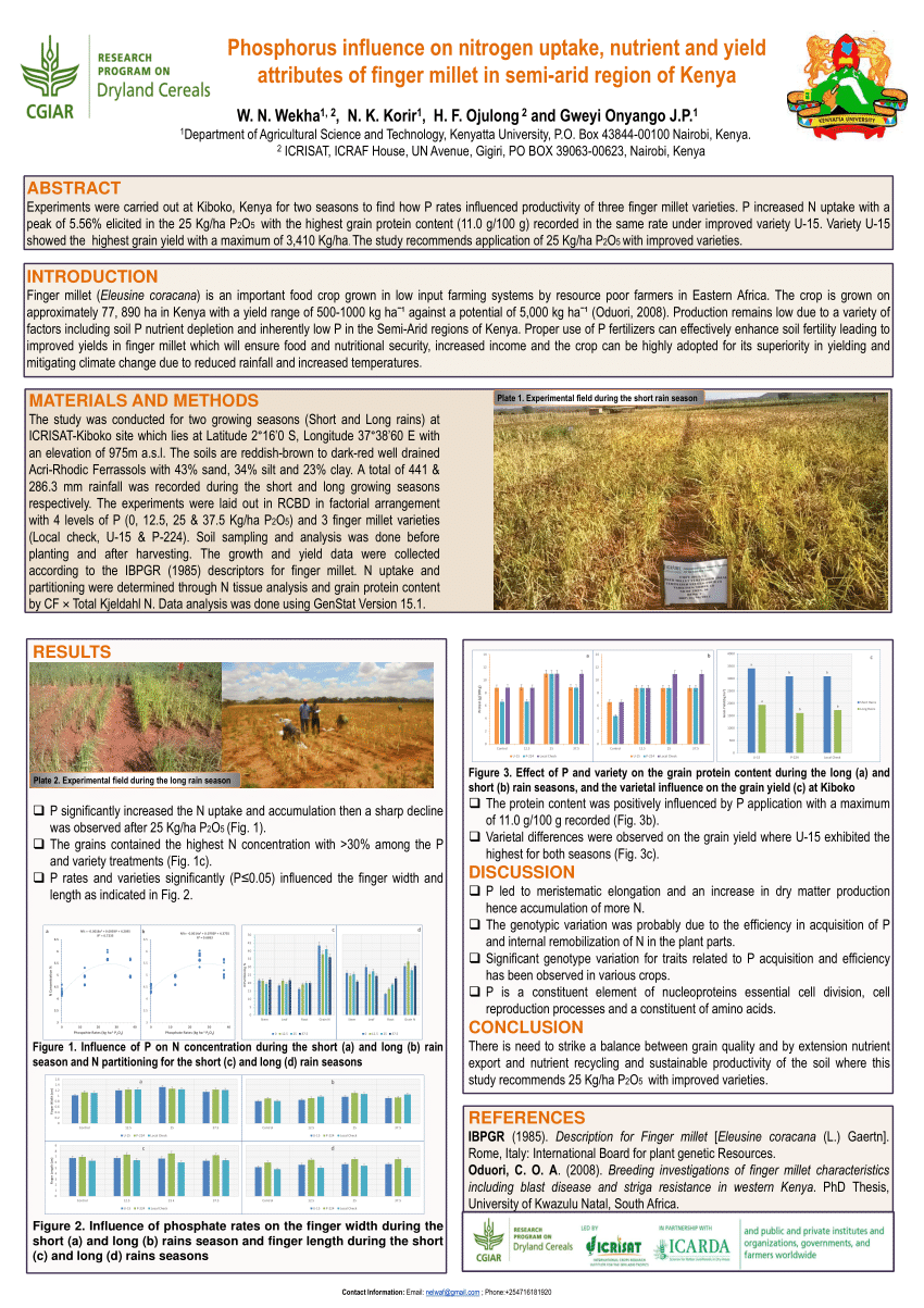 (PDF) Phosphorus influence on nitrogen uptake, nutrient and yield ...