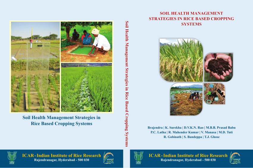 (PDF) Soil Health Management Strategies in Rice Based Cropping Systems