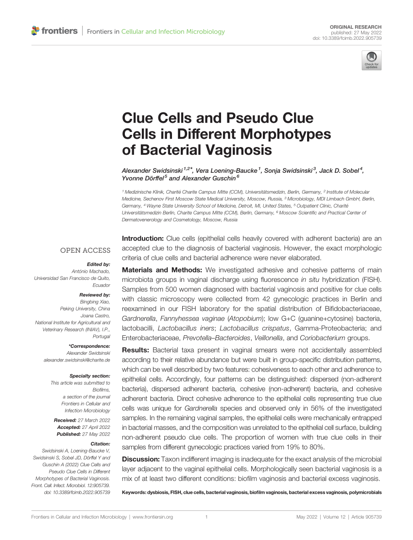 Pdf Clue Cells And Pseudo Clue Cells In Different Morphotypes Of Bacterial Vaginosis 1059