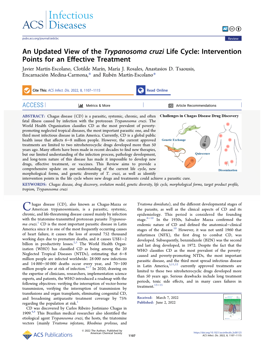 An Updated View of the Trypanosoma cruzi Life Cycle: Intervention Points  for an Effective Treatment