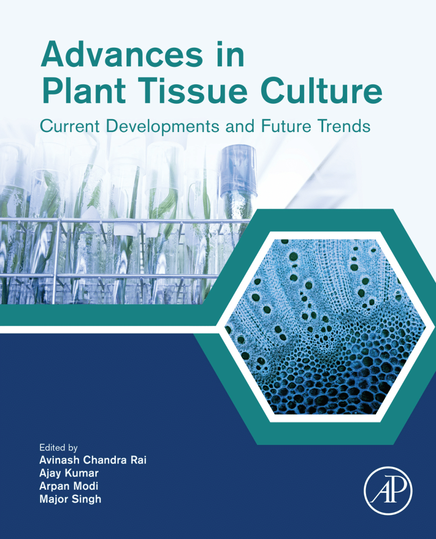 PDF] Impact of culture vessels on micro-morphological features of