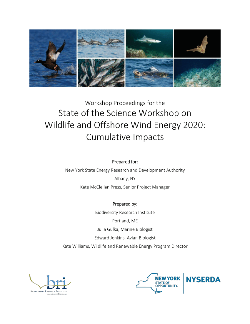PDF) Workshop Proceedings for the State of the Science Workshop on Wildlife  and Offshore Wind Energy 2020: Cumulative Impacts