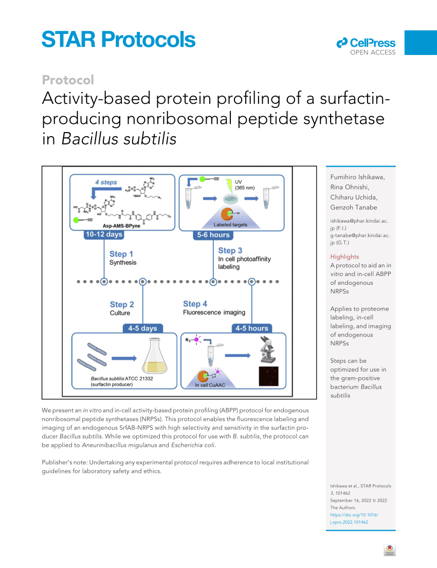 PDF Activity Based Protein Profiling Of A Surfactin Producing Nonribosomal Peptide Synthetase