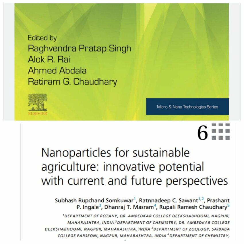 (PDF) Nanoparticles for sustainable agriculture: innovative potential ...