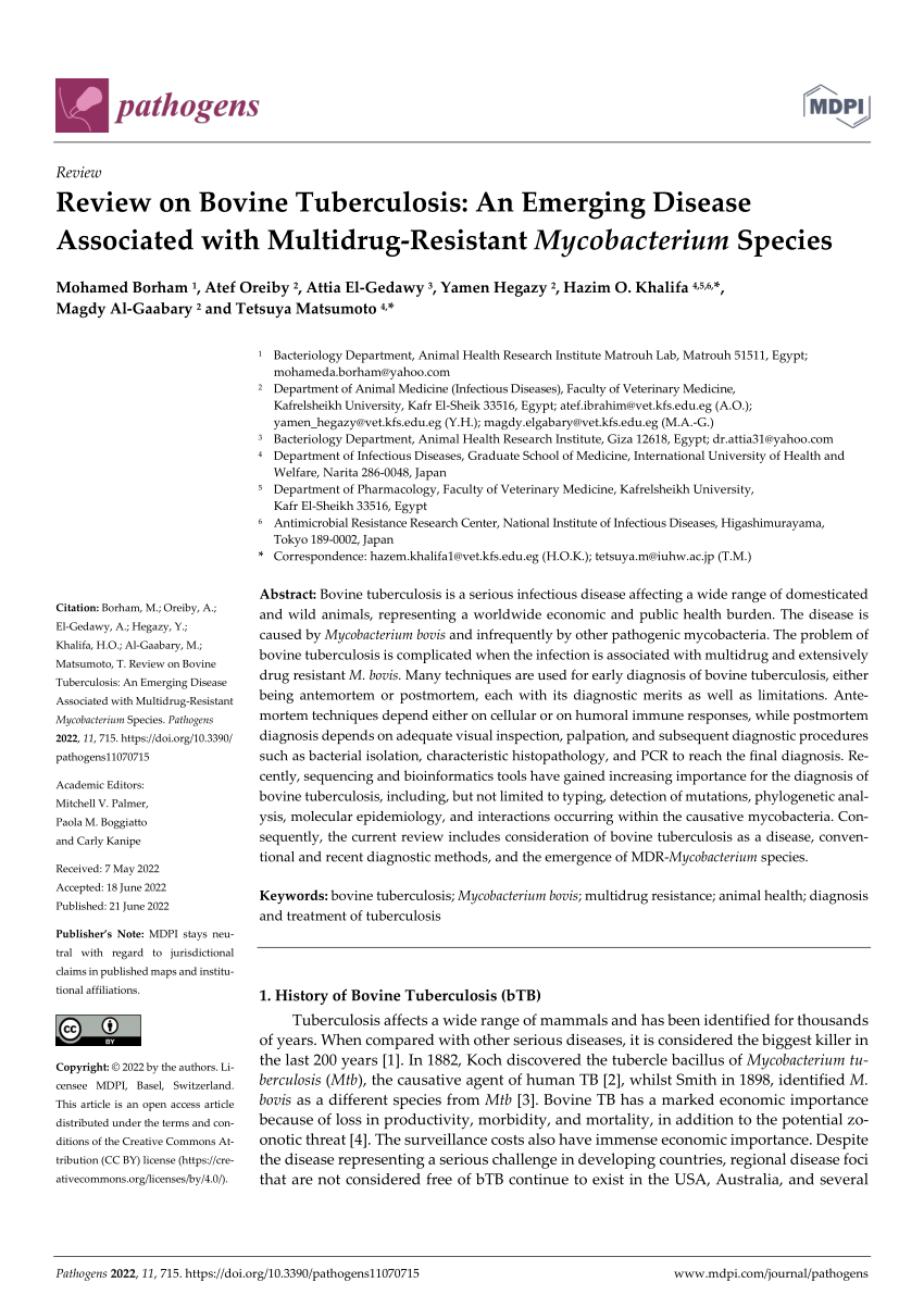 literature review bovine tuberculosis