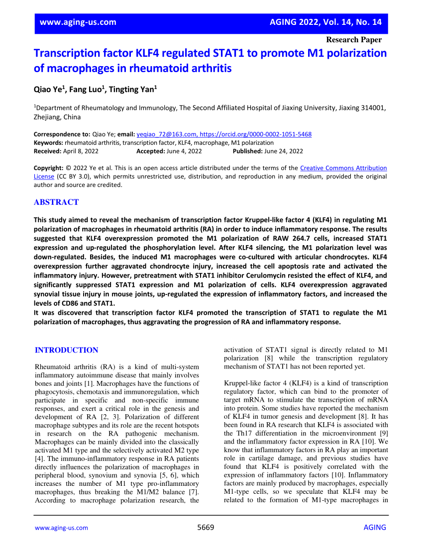 Transcription factor KLF4 regulated STAT1 to promote M1 polarization of  macrophages in rheumatoid arthritis