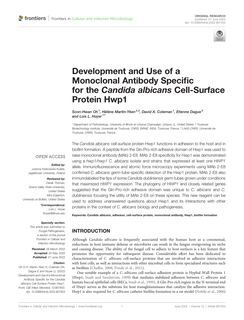 Pdf Development And Use Of A Monoclonal Antibody Specific For The Candida Albicans Cell 