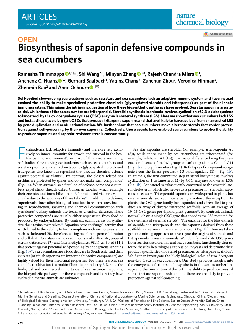 Saponins from Sea Cucumber and Their Biological Activities