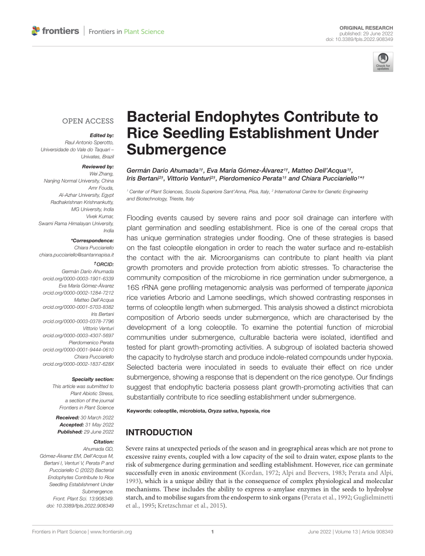 PDF) Bacterial Endophytes Contribute to Rice Seedling Establishment Under  Submergence