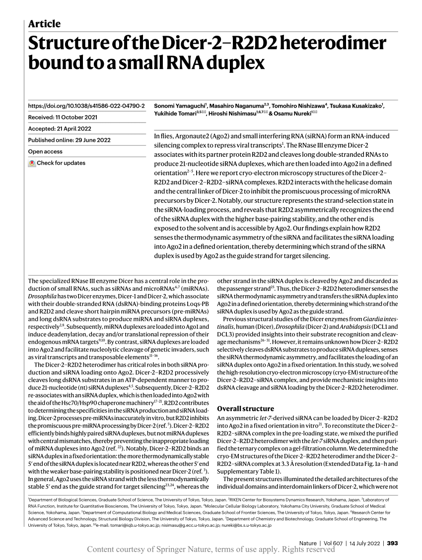 PDF) Structure of the Dicer-2–R2D2 heterodimer bound to a small