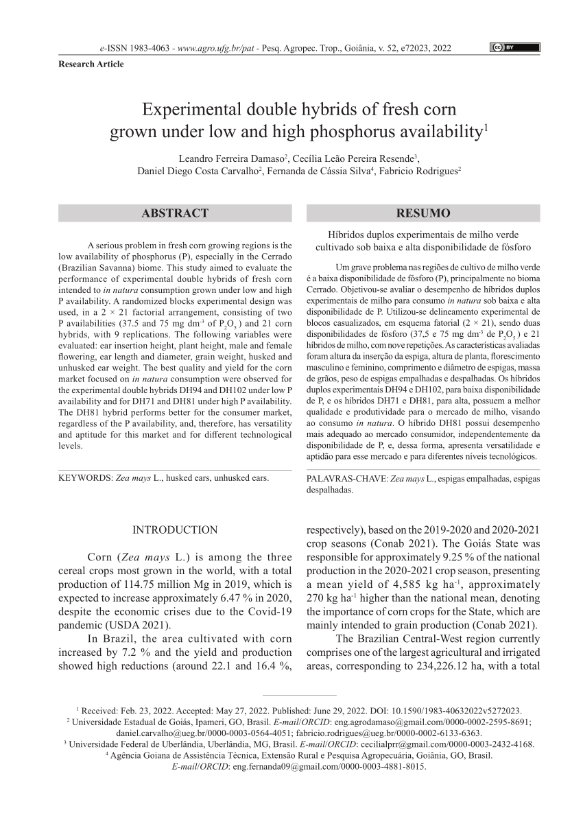 Experimental double hybrids of fresh corn grown under low and high  phosphorus availability1