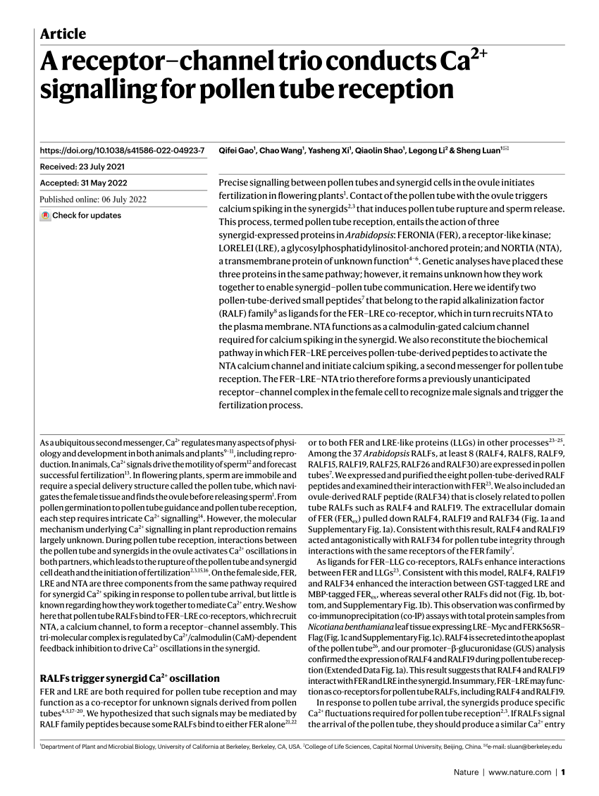 FER, ANJ, and HERK1 receptors interact with RALF6, 7, 16, 36, and 37