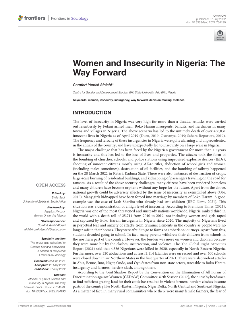 term paper on the topic insecurity in nigeria the way forward