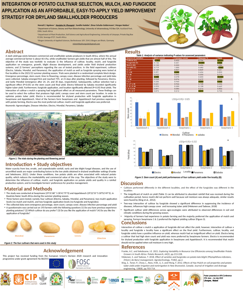 Pdf Poster Apa