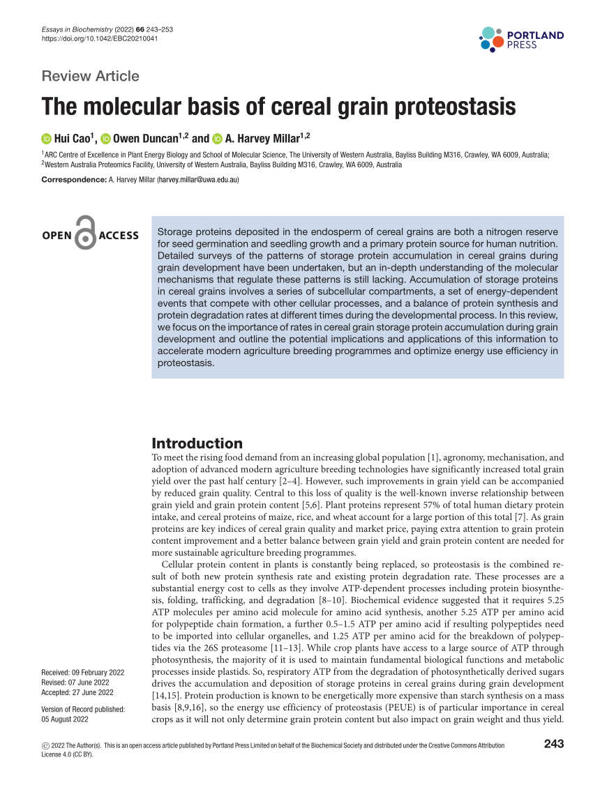 PDF) The molecular basis of cereal grain proteostasis