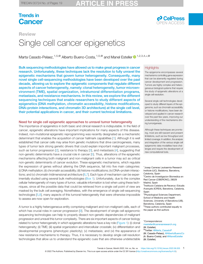 (PDF) Single cell cancer epigenetics