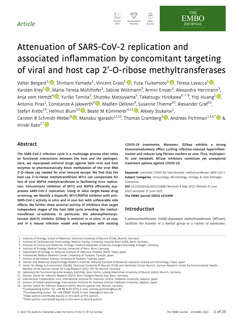 PDF) Attenuation of SARS‐CoV ‐2 replication and associated