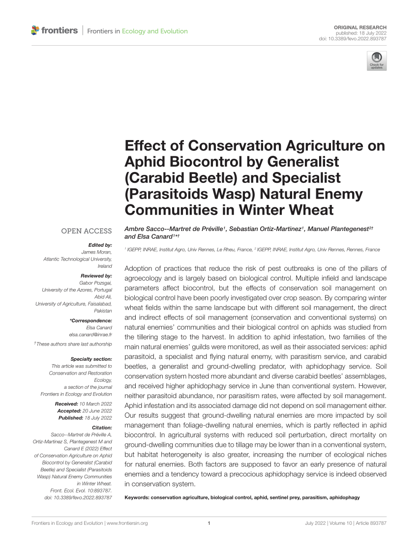 Pdf Effect Of Conservation Agriculture On Aphid Biocontrol By Generalist Carabid Beetle And Specialist Parasitoids Wasp Natural Enemy Communities In Winter Wheat