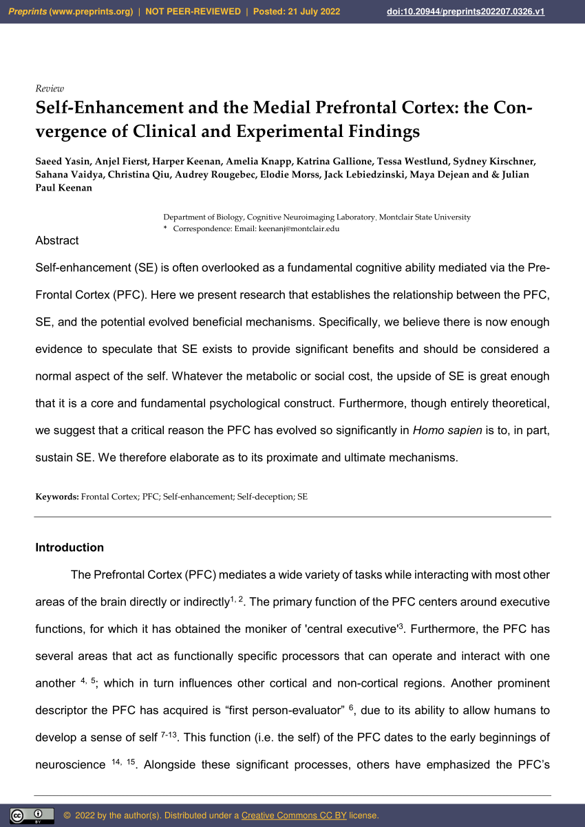 Pdf Self Enhancement And The Medial Prefrontal Cortex The Con Vergence Of Clinical And 2284