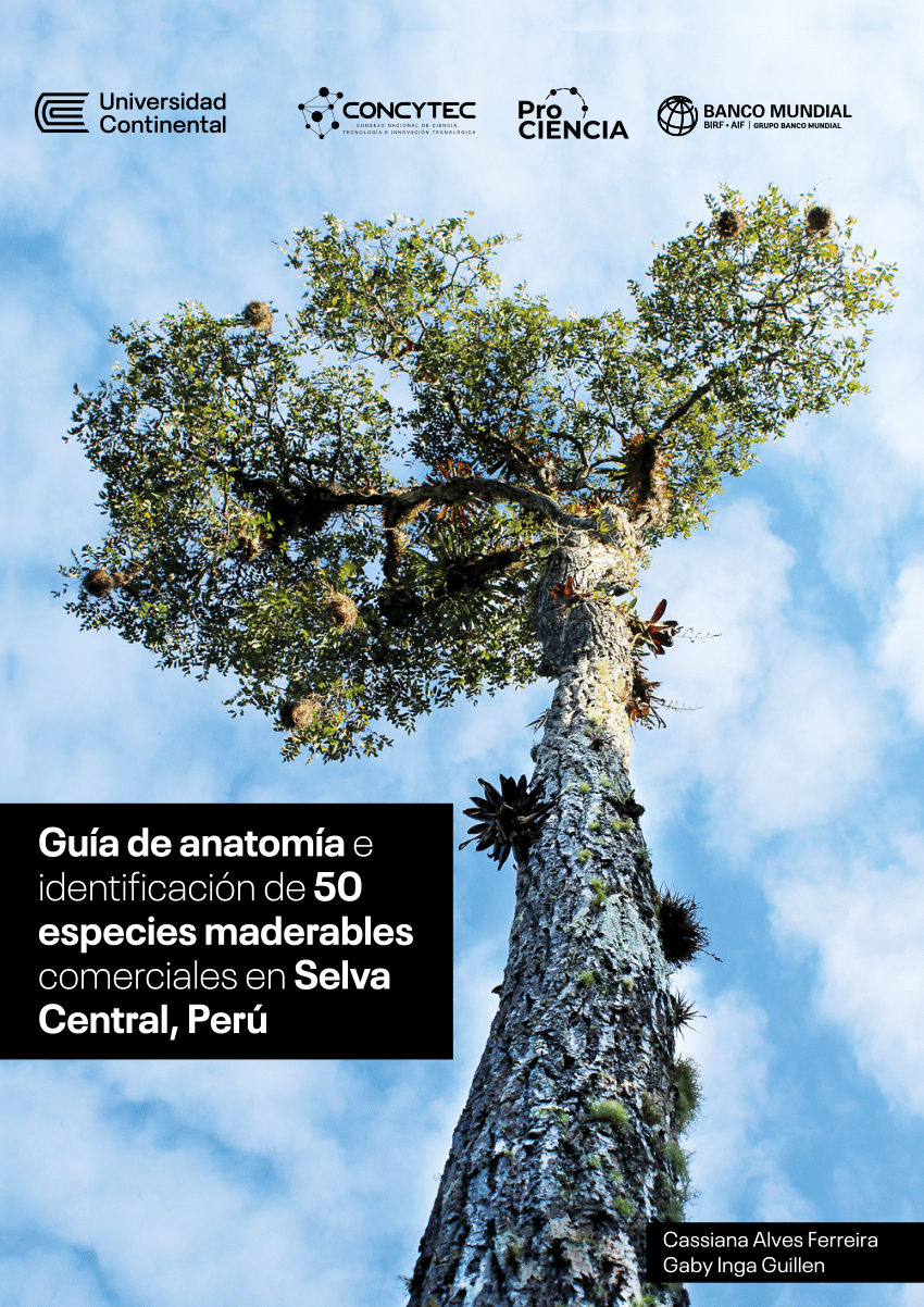 PDF) Guia de anatomia e identificación de 50 especies maderables de Selva  Central, Perú.