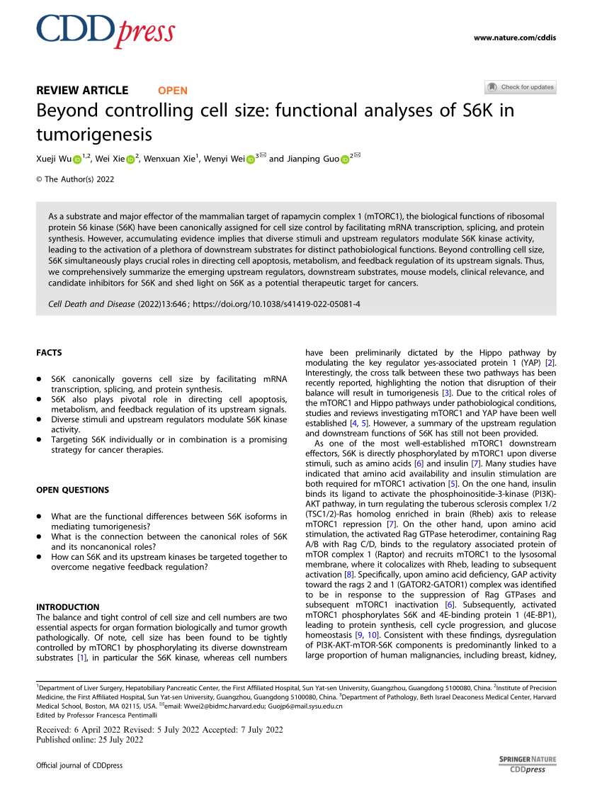 PDF) Beyond controlling cell size: functional analyses of S6K in 