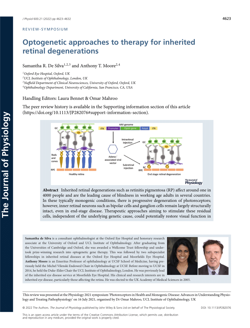Pdf Optogenetic Approaches To Therapy For Inherited Retinal Degenerations