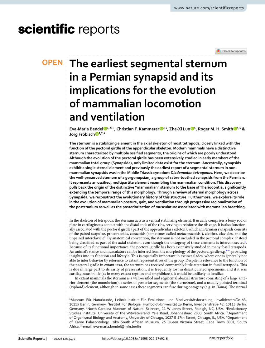 PDF) The earliest segmental sternum in a Permian synapsid and its 
